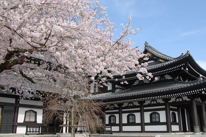 full-day-private-tour-in-kamakura-english-speaking-driver