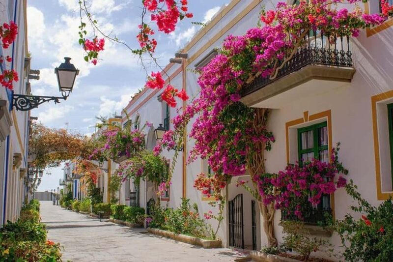 Full Day Private Tour in Las Palmas from Gran Canaria Port - A Practical Introduction to the Tour