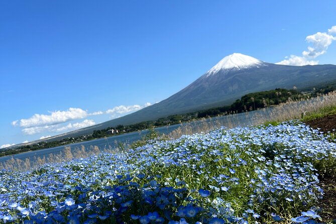 full-day-private-tour-in-mount-fuji-and-hakone
