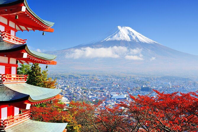 full-day-private-tour-in-mt-fuji-and-hakone