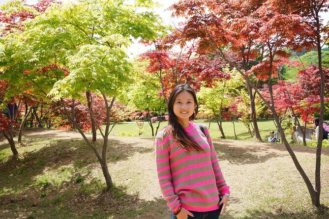 Full Day Private Tour in Nami Island - Discovering Nami Island: A Perfect Day Away from Seoul