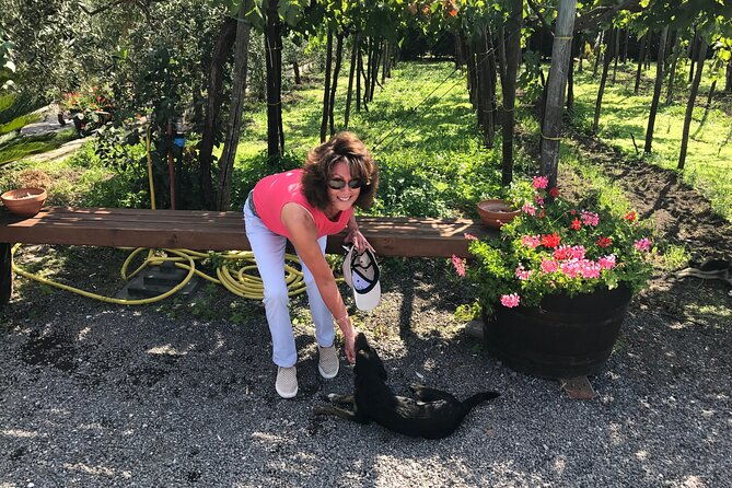 full-day-private-tour-in-pompeii-vesuvio-and-sorrento