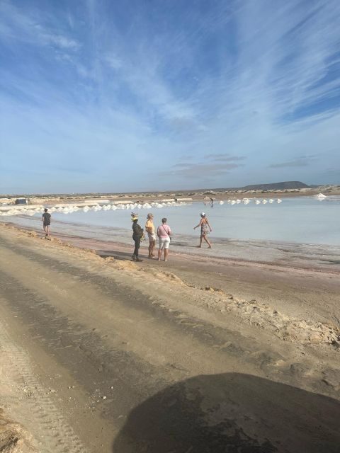 Full Day Private Tour in Sal Island - Experience Quality and Guides