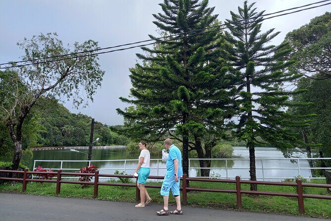 Full Day Private Tour in South of Mauritius - Who Should Consider This Tour?