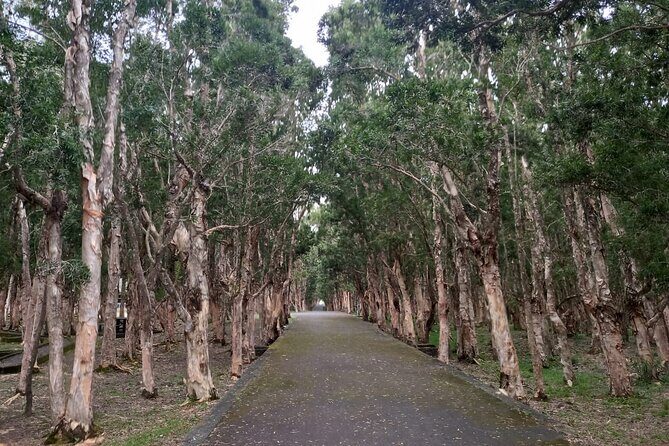 Full Day Private Tour in South of Mauritius - FAQs