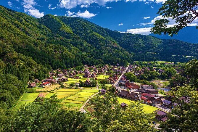 Full Day Private Tour in Takayama Old Township and Shirakawago - A Detailed Look at the Day