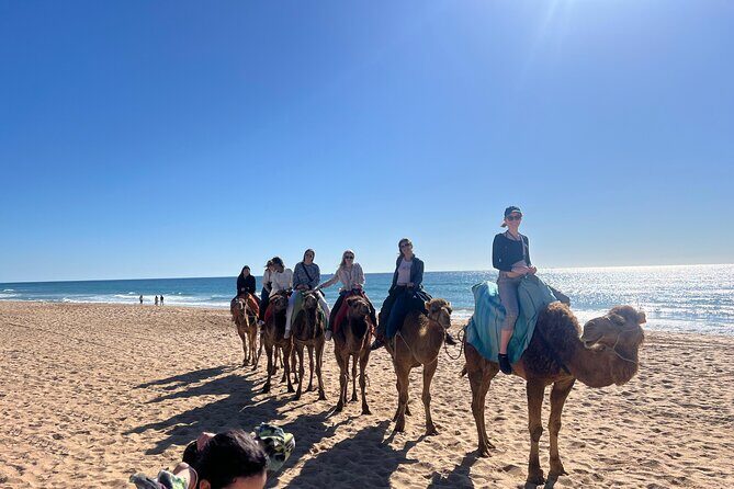 Full Day Private Tour in Tangier - Exploring the Full Day Private Tour in Tangier: A Honest Review
