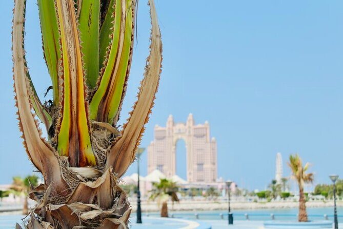 Full Day Private Tour in the UAE Capital - An In-Depth Look at the Abu Dhabi Full Day Tour