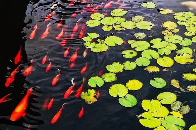 Full Day Private Tour Incredible Hangzhou Highlight - Authenticity and Guided Insight