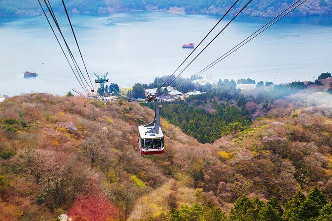 Full Day Private Tour Mt. Fuji, Hakone and Lake Ashi - Key Points