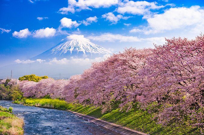 Full Day Private Tour Mt. Fuji, Hakone and Lake Ashi - Who Is This Tour Best For?