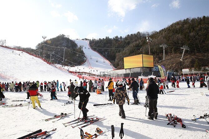 Full Day Private Tour Nami Island & Gangchon Elysian Ski - Who Would Love This Tour?