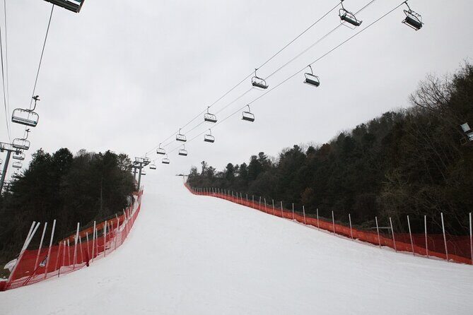 Full Day Private Tour Nami Island & Gangchon Elysian Ski - The Sum Up