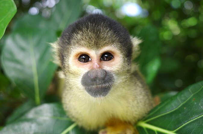 Full Day Private Tour of Ishigaki Island - The Sum Up