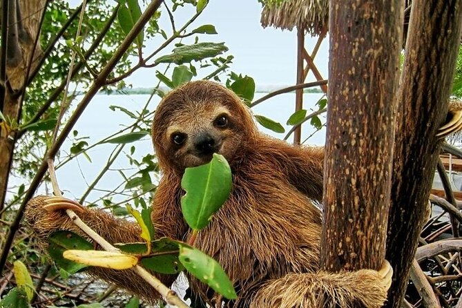 full-day-private-tour-of-palo-verde-national-park
