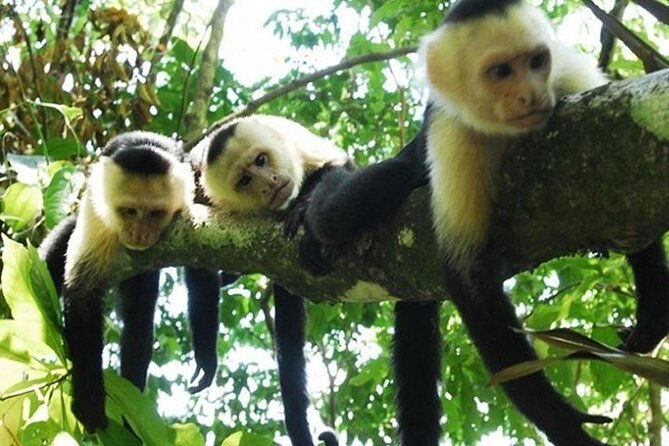full-day-private-tour-of-palo-verde-national-park