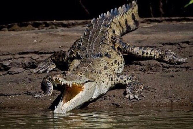 full-day-private-tour-of-palo-verde-national-park