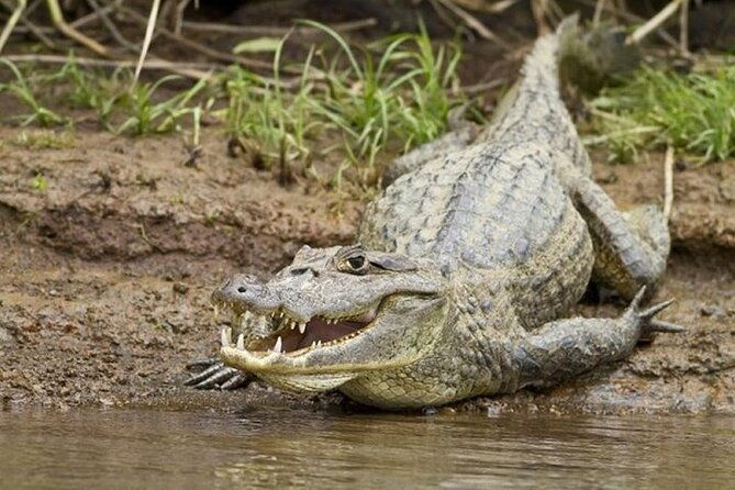 full-day-private-tour-of-palo-verde-national-park