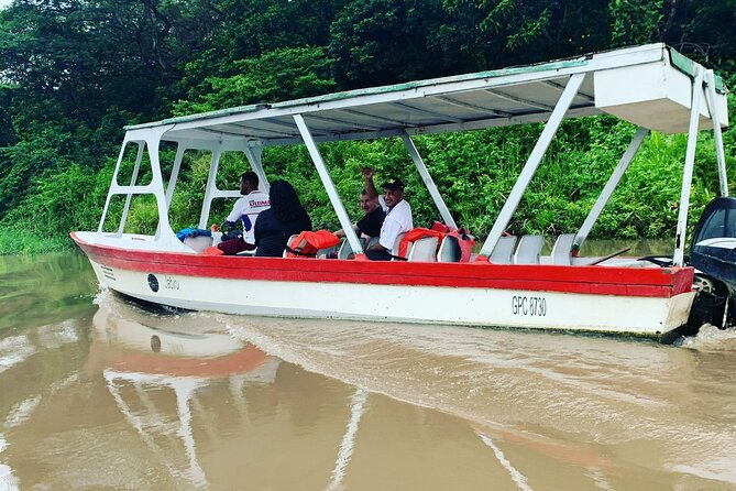 full-day-private-tour-of-palo-verde-national-park