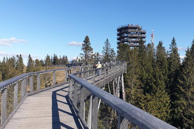 full-day-private-tour-of-slovakia-treetop-walk-and-zakopane-2