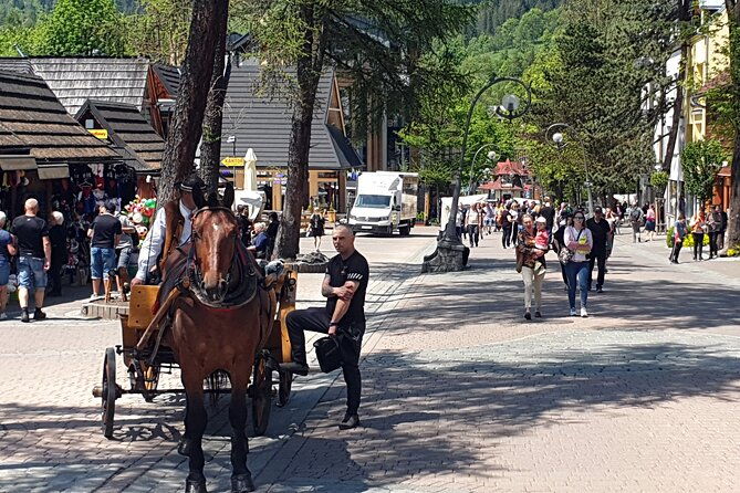 full-day-private-tour-of-slovakia-treetop-walk-and-zakopane-2