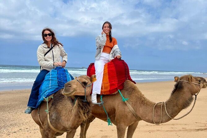 Full Day Private Tour of Tangier - Final Thoughts