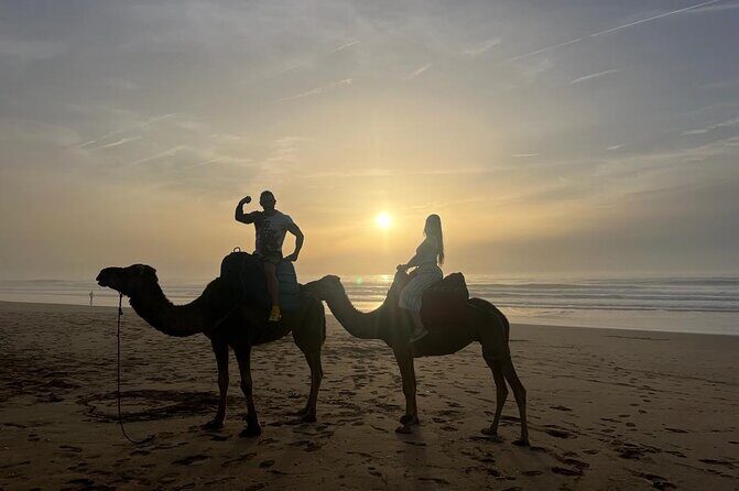 Full Day Private Tour of Tangier - Who Would Love This Tour?  