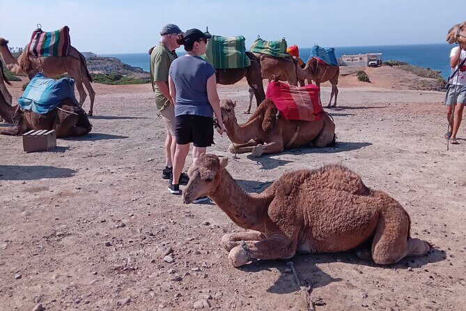 full day private tour of tangier from the cruise ship pick up - FAQ
