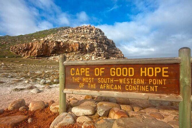 Full Day Private Tour of the Cape Peninsula and Boulders Penguins - Key Points