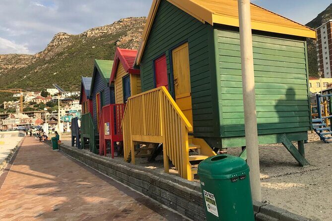 Full Day Private Tour of the Cape Peninsula and Boulders Penguins - Final Thoughts on the Experience