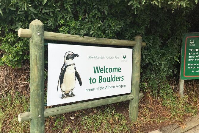 Full Day Private Tour of the Cape Peninsula and Boulders Penguins - Frequently Asked Questions