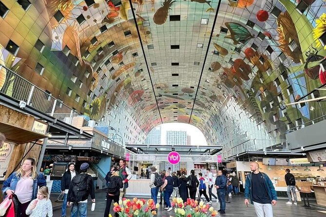 full-day-private-tour-of-the-hague-delft-and-rotterdam