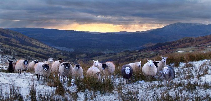 full-day-private-tour-of-the-lake-district