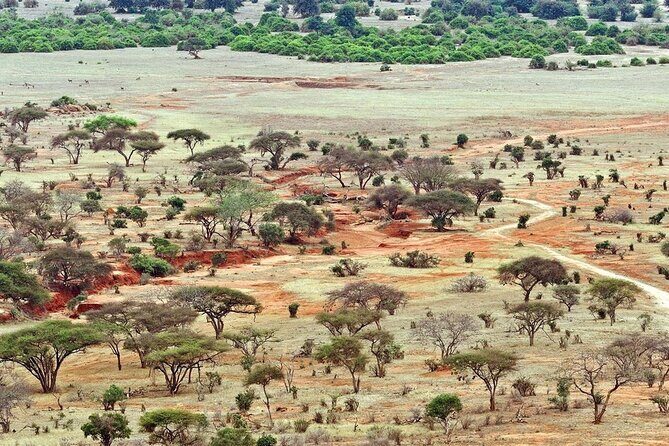 Full Day Private Tour of Tsavo East National Park from Mombasa - Who is This Tour Best For?
