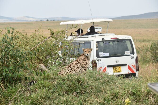 Full Day Private Tour of Tsavo East National Park from Mombasa - Frequently Asked Questions