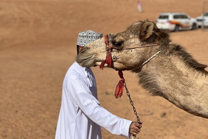 Full-Day Private Tour of Wahiba Sands Desert and Wadi Bani Khalid - Pricing and Value: Is It Worth It?