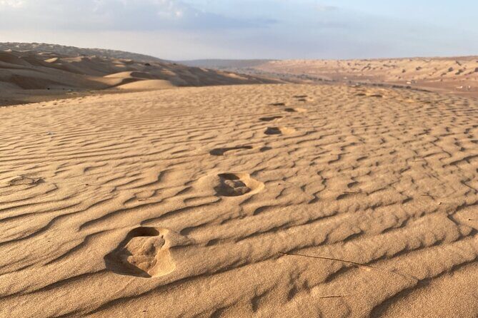 Full-Day Private Tour of Wahiba Sands Desert and Wadi Bani Khalid - Who Should Consider This Tour?