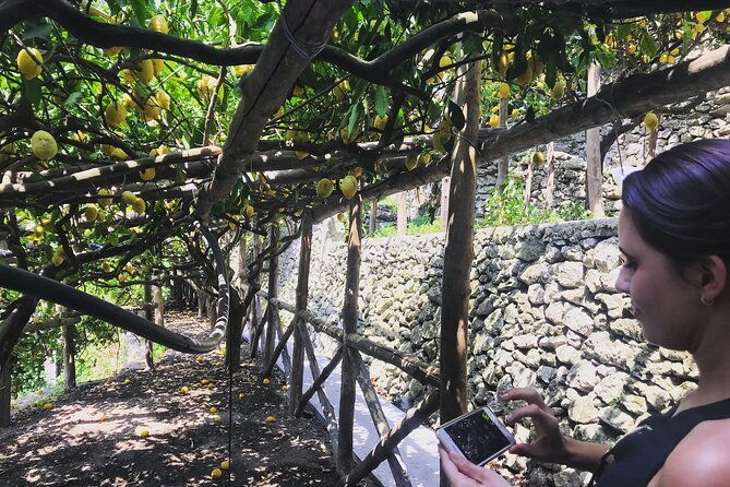 full-day-private-tour-on-the-amalfi-coast