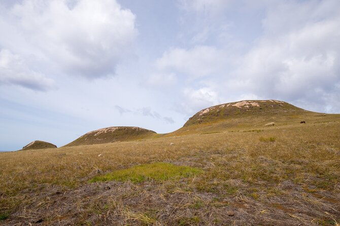 full-day-private-tour-poike-walk-through-the-abandoned-area