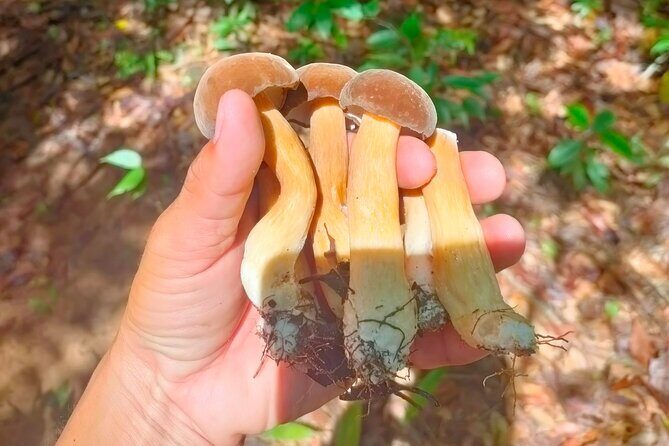 Full Day Private Tour Sightseeing to Phu Quoc with Licensed Guide - What the Itinerary Looks Like