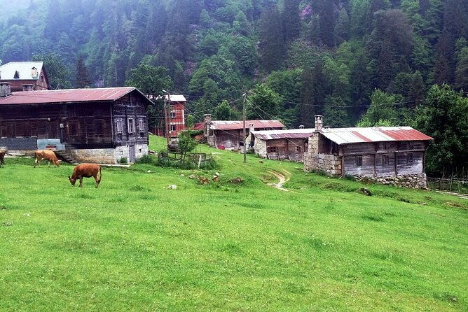 full-day-private-tour-to-ayder-plateau-from-trabzon