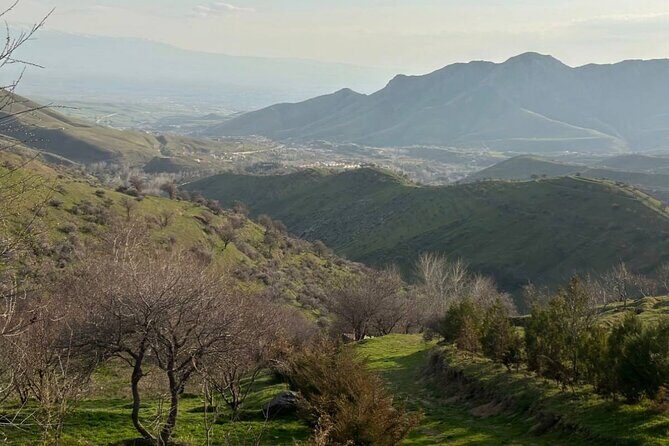 Full Day Private Tour to Fergana Valley from Tashkent - Key Points