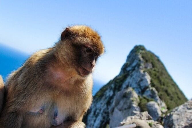 full-day-private-tour-to-gibraltar-from-malaga