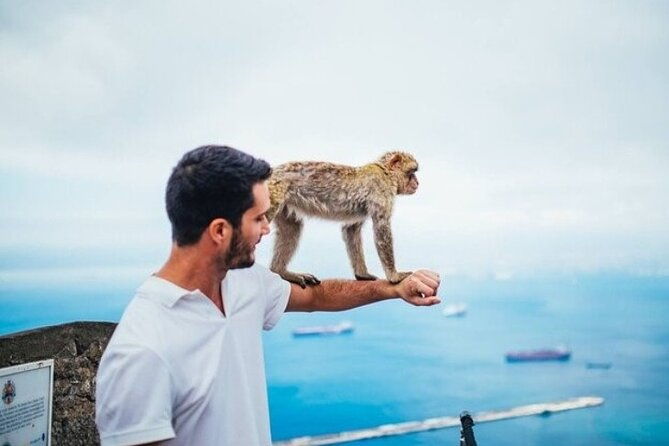 full-day-private-tour-to-gibraltar-from-malaga