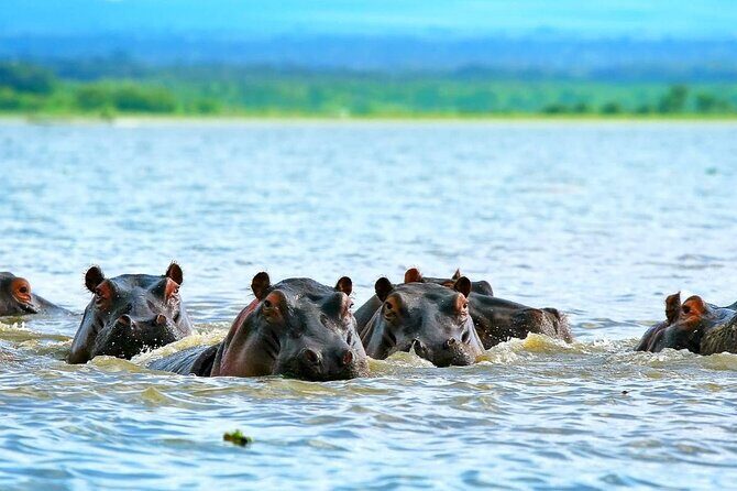 Full day private tour to Hells Gate National park from Nairobi. - Delving into Hells Gate National Park