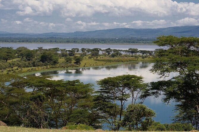 Full day private tour to Hells Gate National park from Nairobi. - Lake Naivasha and Optional Boat Ride