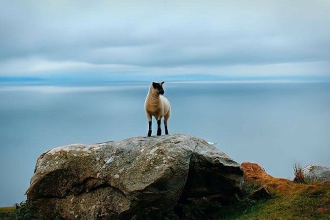 full-day-private-tour-to-ireland-2