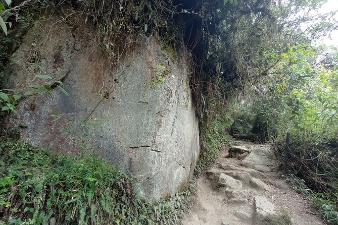 full-day-private-tour-to-la-chorrera-waterfall-and-el-chiflon