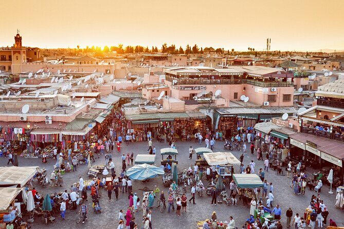 Full-Day Private Tour to Marrakech from Casablanca - Authentic Experiences Highlighted by Reviewers