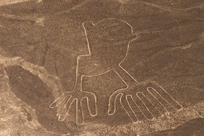 full-day-private-tour-to-pisco-and-nasca-lines-overflight